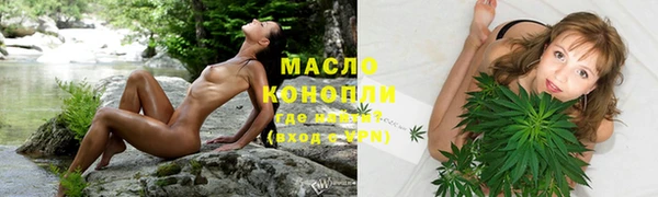 шишки Арсеньев