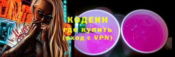 шишки Арсеньев