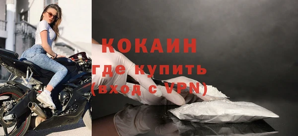 шишки Арсеньев