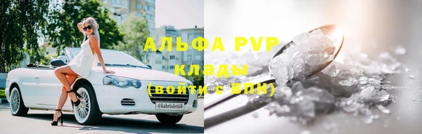 шишки Арсеньев