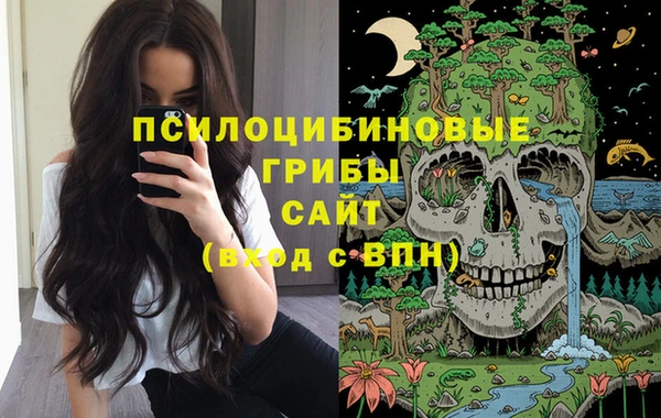 шишки Арсеньев