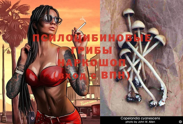 экстази Алексин
