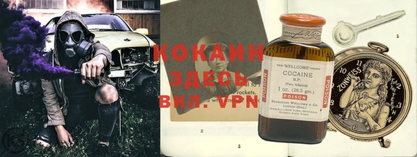 шишки Арсеньев