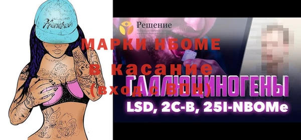 шишки Арсеньев