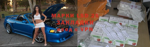шишки Арсеньев