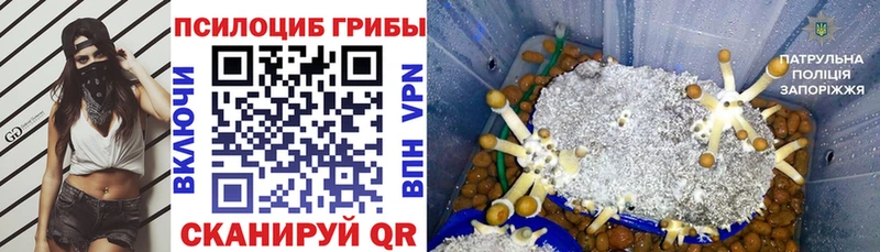 Галлюциногенные грибы MAGIC MUSHROOMS наркотики Саров